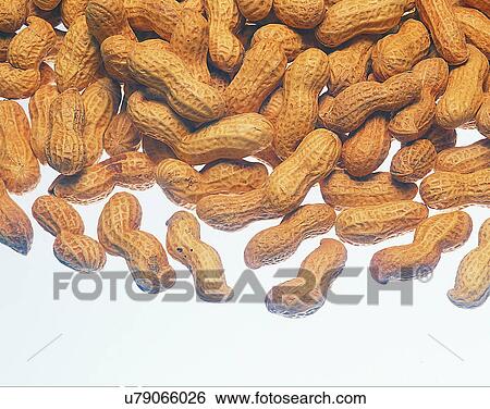 Vegetables, foods, fresh, nature, peanuts View Large Photo Image Stock Photograph - Vegetables, foods, fresh, nature, peanuts. Fotosearch