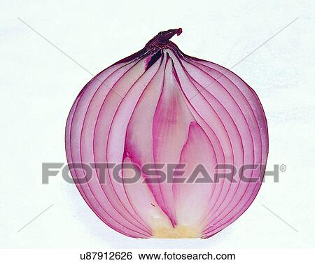 Vegetables, foods, fresh, nature, section, onion View Large Photo Image Stock Photograph - Vegetables, foods, fresh, nature, section, onion. Fotosearch