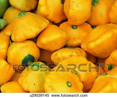 Vegetables, foods, fresh, nature, squashes View Large Photo Image Stock Photography - Vegetables, foods, fresh, nature, squashes. Fotosearch