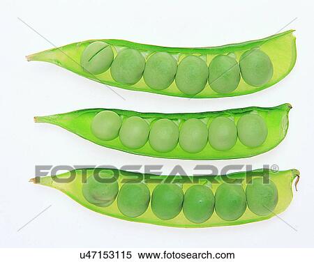 Stock Photography - Vegetables, foods, fresh, nature, section, green peas. Fotosearch