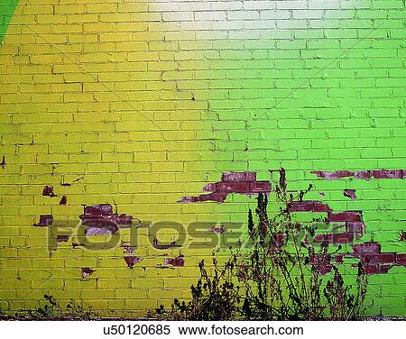 wall, close-up, brick, paint, peeling, weeds View Large Photo Image Stock Photography - wall, close-up, brick, paint, peeling, weeds. Fotosearch