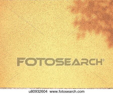 wall, close-up, grain, shadow, tree View Large Photo Image Picture - wall, close-up, grain, shadow, tree. Fotosearch