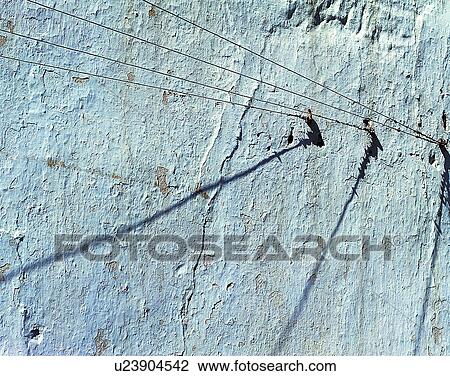 wall, close-up, nails, wires, shadows, old View Large Photo Image Stock Image - wall, close-up, nails, wires, shadows, old. Fotosearch
