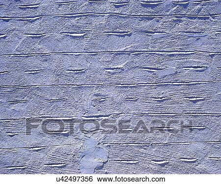Stock Photograph - wall, close-up, texture, pattern. Fotosearch