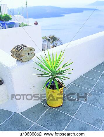 Stock Image - water, outdoors, plant, pot, balcony, Aegean sea. Fotosearch