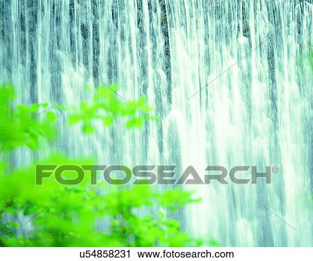 waterfall, nature, outdoors, close-up trees, leaves View Large Photo Image Stock Image - waterfall, nature, outdoors, close-up trees, leaves. Fotosearch