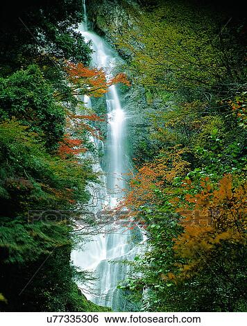 waterfall, nature, outdoors, forest, trees, autumn View Large Photo Image Stock Photograph - waterfall, nature, outdoors, forest, trees, autumn. Fotosearch