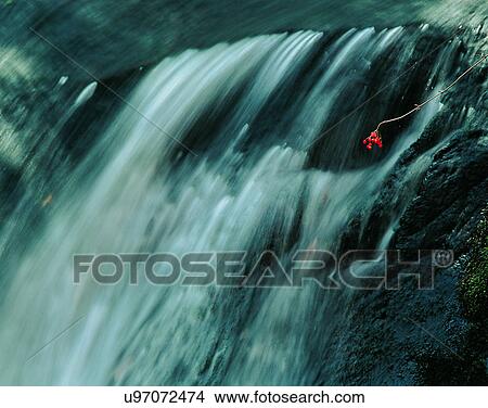 Picture - waterfall, nature, outdoors, rocks, flower, spring. Fotosearch