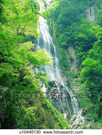 Stock Image - waterfall, nature, outdoors, rocks, trees, sunlight. Fotosearch