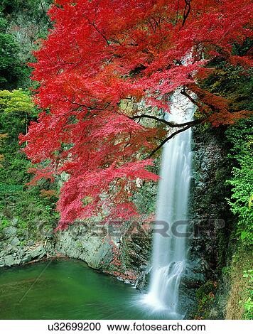 Stock Image - waterfall, nature, outdoors, rocks, trees, autumn. Fotosearch