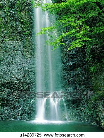 waterfall, nature, outdoors, rocks, trees, plants View Large Photo Image Stock Photography - waterfall, nature, outdoors, rocks, trees, plants. Fotosearch