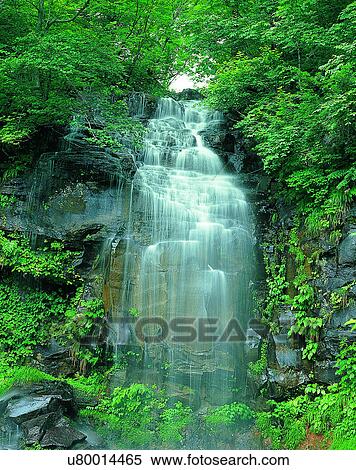 Stock Photography - waterfall, nature, outdoors, rocks, trees, plants. Fotosearch