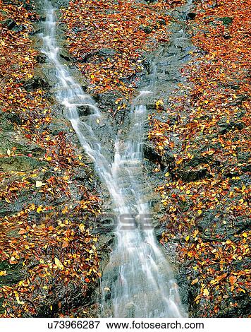 waterfall, nature, outdoors, stream, autumn, leaves View Large Photo Image Stock Photo - waterfall, nature, outdoors, stream, autumn, leaves. Fotosearch