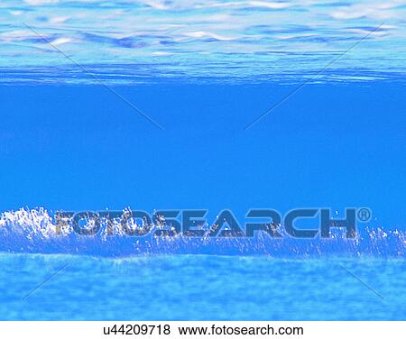 waves, water, outdoors, crest, spray View Large Photo Image Stock Photo - waves, water, outdoors, crest, spray. Fotosearch