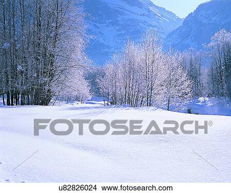 winter, nature, scenery, outdoors, snow, trees View Large Photo Image Picture - winter, nature, scenery, outdoors, snow, trees. Fotosearch