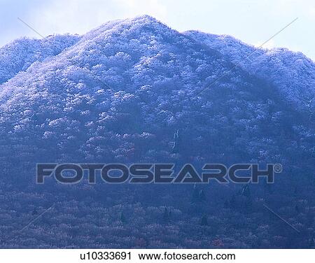 Stock Image - winter, nature, scenery, outdoors, snow, trees. Fotosearch