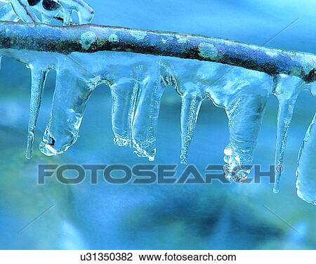 winter, nature, scenery, outdoors, snow, close-up View Large Photo Image Stock Image - winter, nature, scenery, outdoors, snow, close-up. Fotosearch