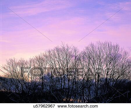 winter, nature, scenery, outdoors, snow, trees View Large Photo Image Stock Photo - winter, nature, scenery, outdoors, snow, trees. Fotosearch