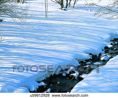 Stock Photo - winter, nature, scenery, outdoors, snow, branches. Fotosearch