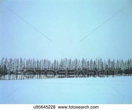 winter, nature, scenery, outdoors, snow, trees View Large Photo Image Stock Photo - winter, nature, scenery, outdoors, snow, trees. Fotosearch