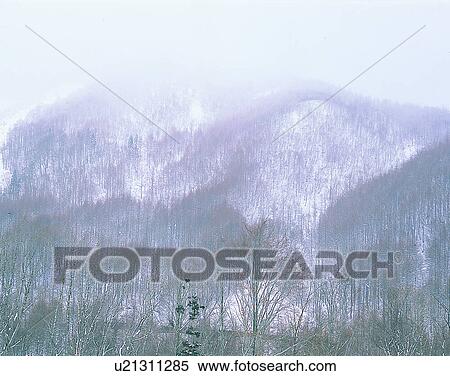 winter, nature, scenery, outdoors, snow, forest View Large Photo Image Stock Photography - winter, nature, scenery, outdoors, snow, forest. Fotosearch
