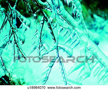 winter, outdoors, snow, close-up, ice, branches View Large Photo Image Stock Image - winter, outdoors, snow, close-up, ice, branches. Fotosearch