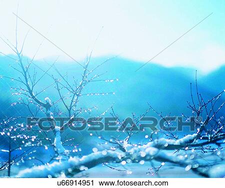 winter, outdoors, snow, sky, close-up, ice View Large Photo Image Stock Image - winter, outdoors, snow, sky, close-up, ice. Fotosearch