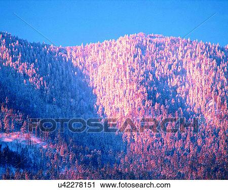 Stock Image - winter, outdoors, snow, sky, forest, trees Mountain. Fotosearch