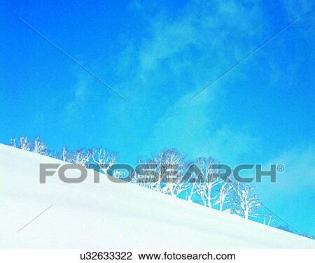Stock Image - winter, outdoors, snow, sky, trees. Fotosearch