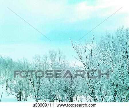 winter, outdoors, snow, sky, trees View Large Photo Image Stock Image - winter, outdoors, snow, sky, trees. Fotosearch
