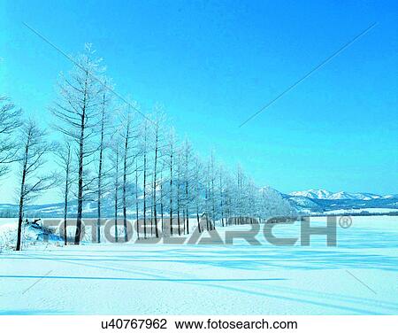 Stock Image - winter, outdoors, snow, sky, trees, shadows. Fotosearch