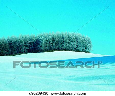 Stock Image - winter, outdoors, snow, sky, trees, forest. Fotosearch