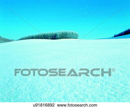 winter, outdoors, snow, sky, trees, forest View Large Photo Image Stock Image - winter, outdoors, snow, sky, trees, forest. Fotosearch