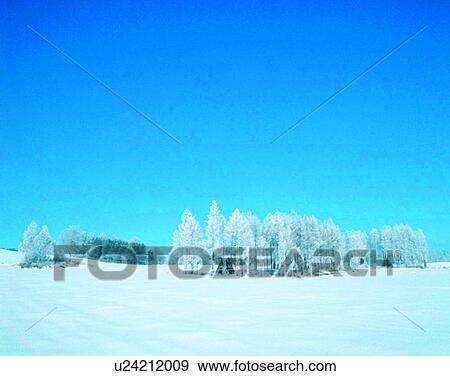 winter, outdoors, snow, sky, trees, forest View Large Photo Image Stock Photo - winter, outdoors, snow, sky, trees, forest. Fotosearch