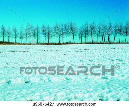 winter, outdoors, snow, sky, trees, forest View Large Photo Image Stock Photo - winter, outdoors, snow, sky, trees, forest. Fotosearch