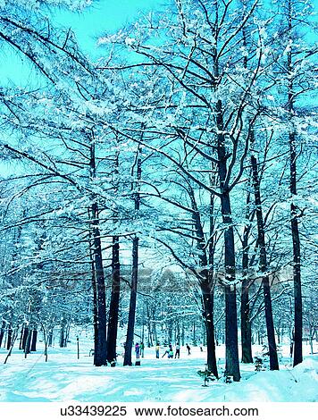 winter, outdoors, snow, sky, trees, people View Large Photo Image Stock Photography - winter, outdoors, snow, sky, trees, people. Fotosearch