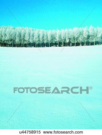Stock Photography - winter, outdoors, snow, sky, trees, forest. Fotosearch