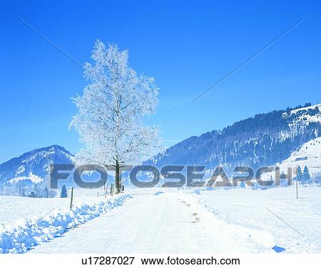 Stock Photo - winter, snow, outdoors, sky, mountains, landscape. Fotosearch