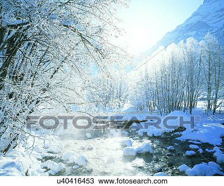 Stock Image - winter, snow, outdoors, sky, trees, sunlight. Fotosearch