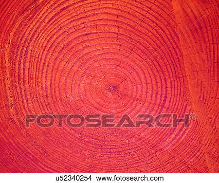 wood, background, texture, close-up, grains, patterns View Large Photo Image Picture - wood, background, texture, close-up, grains, patterns. Fotosearch