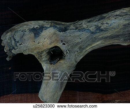 Stock Image - wood, background, texture, close-up, grains, patterns. Fotosearch