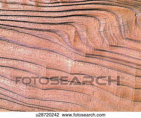 Stock Image - wood, background, texture, close-up, grains, patterns. Fotosearch