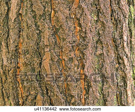 wood, background, texture, close-up, grains, patterns View Large Photo Image Stock Image - wood, background, texture, close-up, grains, patterns. Fotosearch