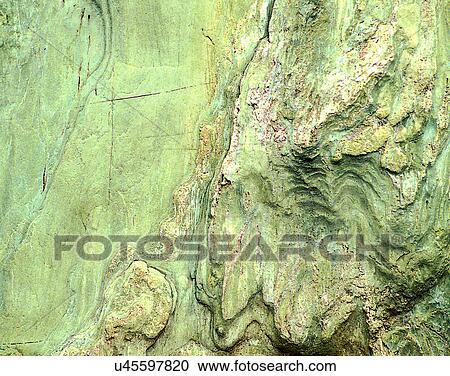 Stock Image - wood, background, texture, close-up, grains, patterns. Fotosearch