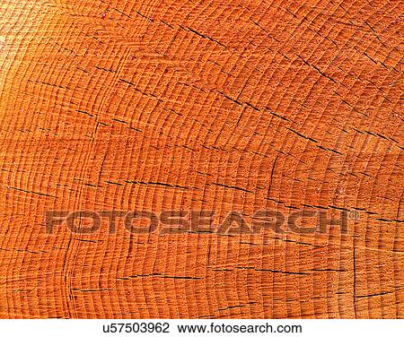 Stock Image - wood, background, texture, close-up, grains, patterns. Fotosearch