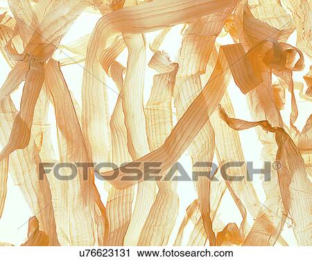 wood, background, texture, close-up, grains, patterns View Large Photo Image Stock Image - wood, background, texture, close-up, grains, patterns. Fotosearch