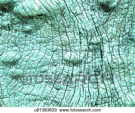 Stock Image - wood, background, texture, close-up, grains, patterns. Fotosearch