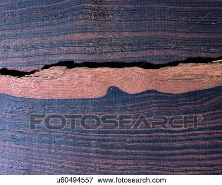 wood, background, texture, close-up, grains, patterns View Large Photo Image Stock Photo - wood, background, texture, close-up, grains, patterns. Fotosearch