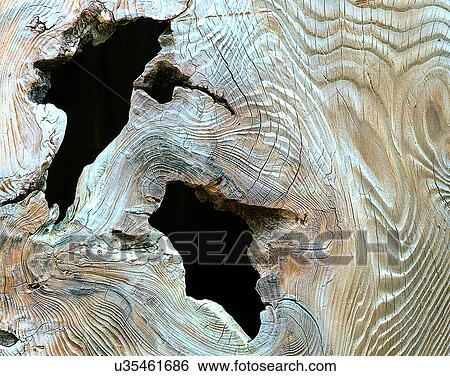 wood, background, texture, close-up, grains, patterns View Large Photo Image Stock Photograph - wood, background, texture, close-up, grains, patterns. Fotosearch
