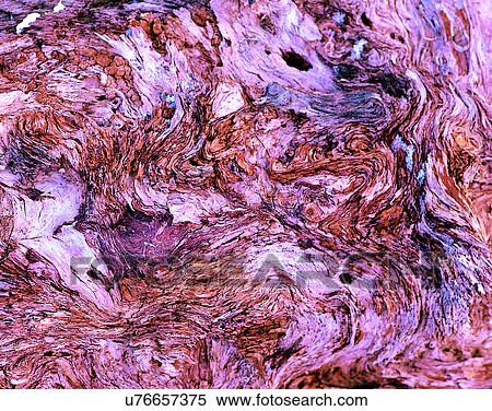 wood, background, texture, close-up, grains, patterns View Large Photo Image Stock Photography - wood, background, texture, close-up, grains, patterns. Fotosearch